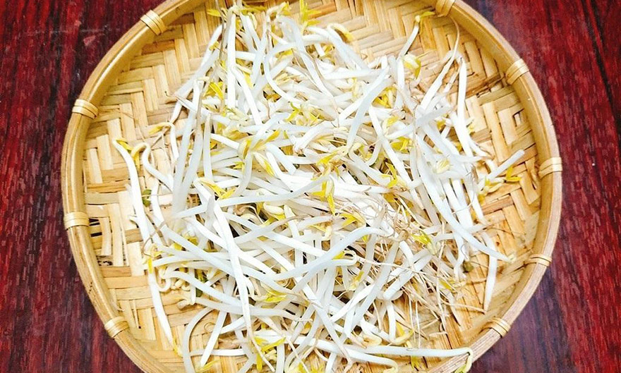 Cách nhận biết giá đỗ không ngâm hóa chất độc hại